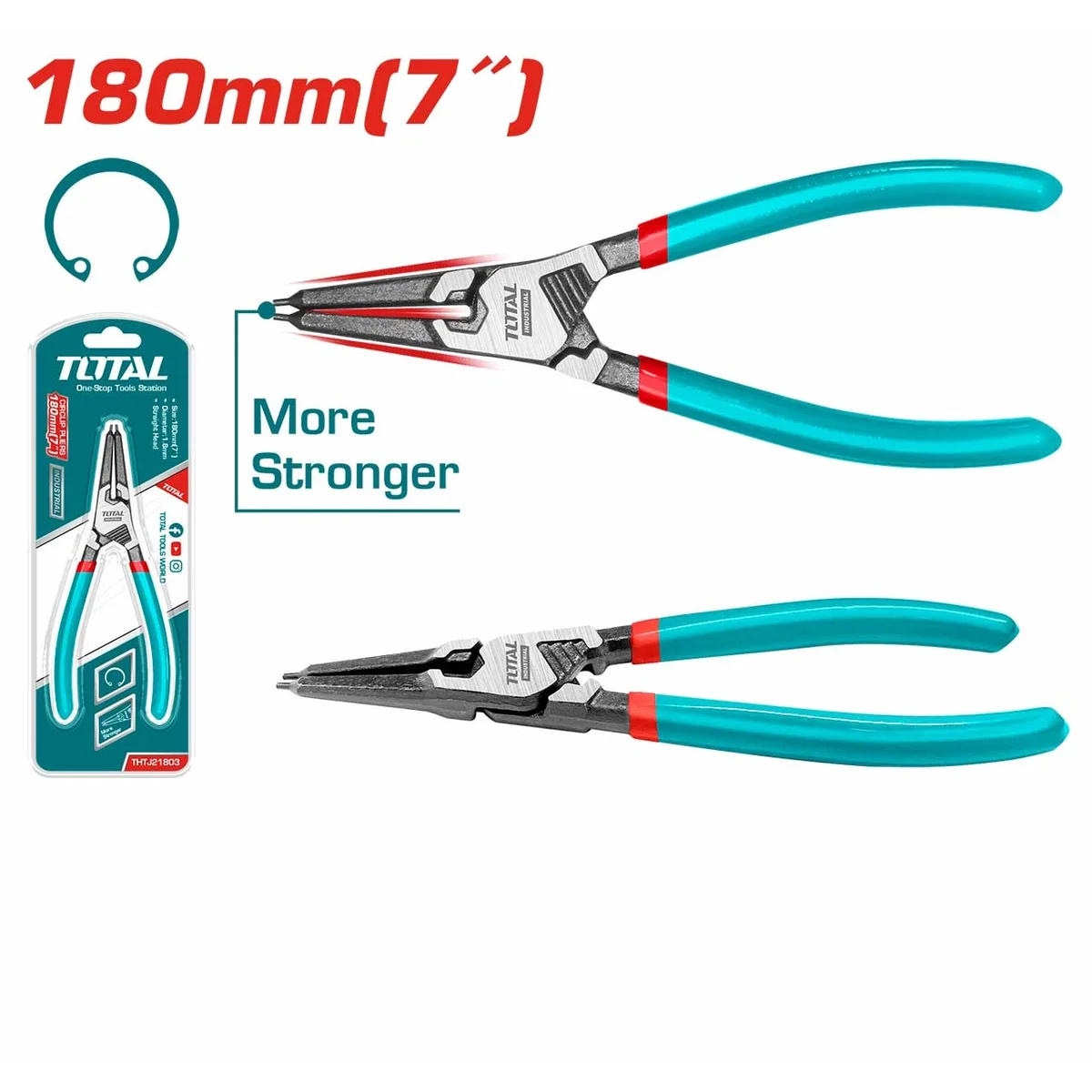 THTJ21803 შიდა სტოპორის ბრტყელტუჩა